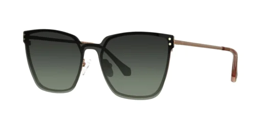 CLIP-ON sun cover 48415AC1