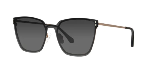 CLIP-ON sun cover 48415AC2