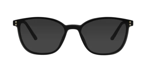 CLIP-ON sun cover 0094