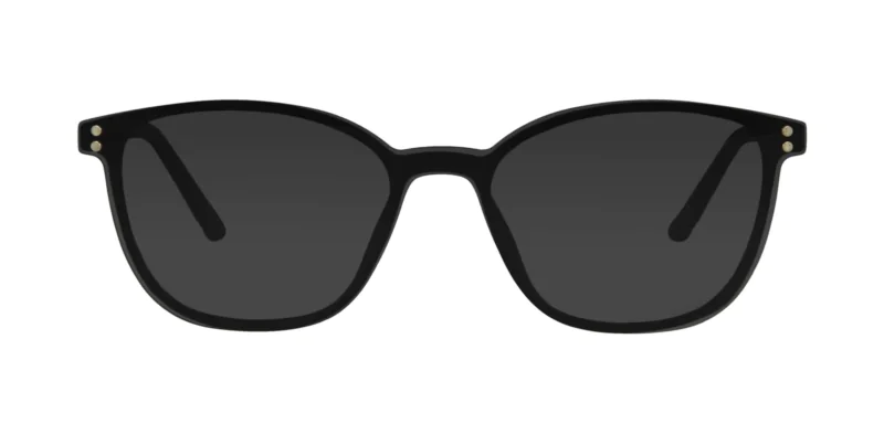 CLIP-ON sun cover 0094