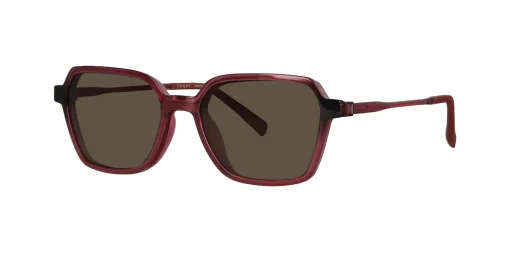 Optical frame with clip-on TONNY 0034C2