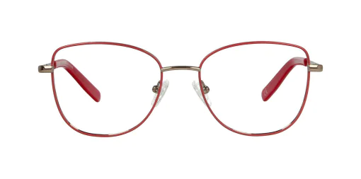 Optical frame TONNY 48305C4