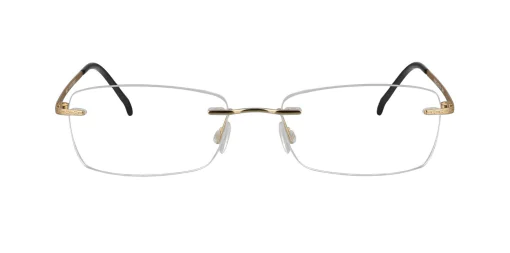 Optical frame TONNY Titanium 233C2
