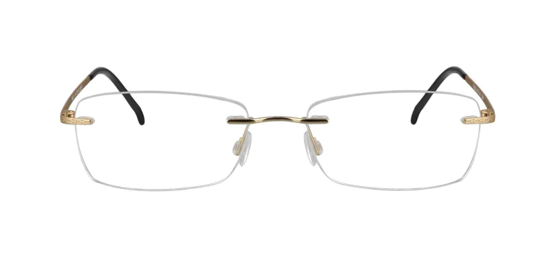 Optical frame TONNY Titanium 233C2